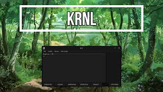 How to download Krnl for FREE 2021 [upl. by Kimmel971]