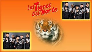 Los Tigres Del Norte  La Manzanita En Vivo [upl. by Yanrahc]