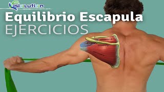 EQUILIBRIO ESCAPULA  HOMBRO EJERCICIOS para evitar DOLOR  Fisiolution [upl. by Attezi]