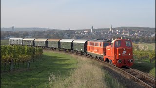 Reblausexpress ÖBB 2067100 und ÖBB 2143 0707 der NLB von Retz nach Drosendorf am 2024 10 20 [upl. by Anaihsat]