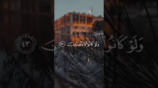 سورةيونس رقمالاية 4344 [upl. by Ennovyhc]