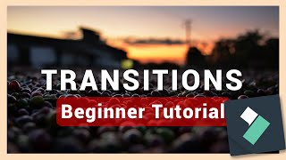 How to Add Transitions  Filmora 12 amp 13 Tutorial [upl. by Ahsei]