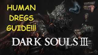 Dark Souls 3 Human Dregs Offline Farming Location and Guide [upl. by Avahc]