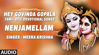 Nenjamellam Song  Hey Govinda Gopala  Krishna Tamil Songs  Meera Krishna [upl. by Ainival354]