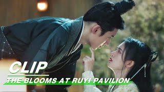 Clip Ju Jingyi Tells The Truth After Being Drunk  The Blooms At RUYI Pavilion EP11  如意芳霏  iQIYI [upl. by Htims]