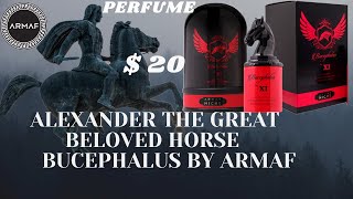 BUCEPHALUS XI PERFUME ARMAF REVIEW  HORSE OF ALEXANDER THE GREAT [upl. by Bein88]