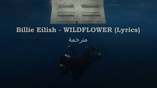 Billie Eilish  WILDFLOWER Lyrics مترجمة [upl. by Alo]