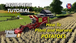 TUTORIAL  How to Plant and Harvest POTATOES  Farming Simulator 19  FS19 POTATO Tutorial [upl. by O'Kelly]