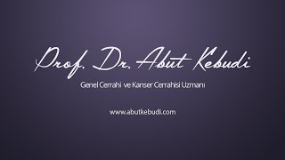 2 ve 3 evre meme kanserlerine yaklaşım nasıldır  Prof Dr Abut Kebudi [upl. by Enailuj474]