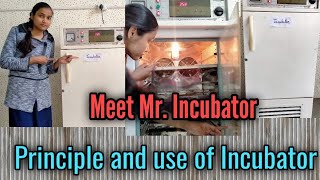 Microbiological incubator in hindi  BOD incubator  how to incubate microorganism [upl. by Edmonda111]