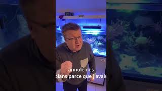 Bien sûr que Version aquariophile recifal Partie 2 biensurque aquarium reef reeftank [upl. by Corney932]