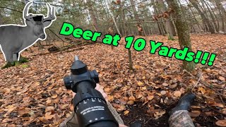 Still Hunting Big Woods Deer On Dry Ground  2023 NH Muzzleloader Hunting [upl. by Pollock76]