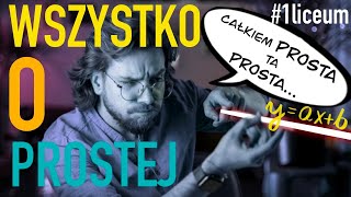 WSZYSTKO o FUNKCJA LINIOWA i równanie PROSTEJ❗️MATURA 2023 MATEMATYKA PODSTAWA i ROZSZERZENIE [upl. by Boigie]