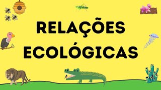 O QUE SÃO RELAÇÕES ECOLÓGICAS  RESUMO ESCOLAR [upl. by Alaikim]