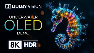 UNDERWATER WORLD with 8K HDR Dolby Vision 60FPS [upl. by Bigelow]