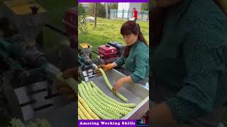 Manufacturing Process Of Corn Twist Follower Shape [upl. by Bernice]