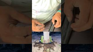 Best way to do Drip Irrigation system dripirrigation sprinklerirrigation [upl. by Eecart]