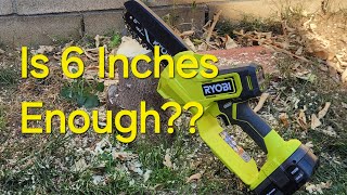 Review On Ryobi 6 inch Chainsaw  DIY Lawn Guy [upl. by Akeit642]