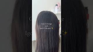 Grey coverage with Igora Vibrance torontocolourist toronto haircolour [upl. by Chrisman774]