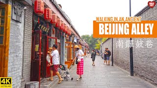 Walking In A Beijing Alley  South Gong and Drum Lane  北京南锣鼓巷 [upl. by Hutson]