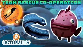 ​Octonauts  Team Rescue Cooperation  60 Mins Compilation  Underwater Sea Education [upl. by Oirasan]