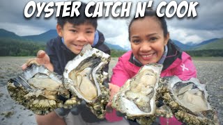 OYSTER CATCH and COOK in WASHINGTON [upl. by Nura]