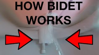 How a Bidet WorksBidet Luxe 320 [upl. by Reklaw]