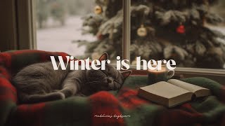 ❄️☃️ winter is here dreamy november morning playlist 🤍 romanticize your life with guitar music [upl. by Annahsor221]