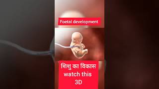 Foetal Development Animation 3D howtogetsuccessinlife successyourlife howtoachievesuccessinlife [upl. by Emalee253]