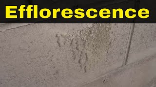 What Is Efflorescence In ConcreteCauses Of Efflorescence [upl. by Atiekahs]