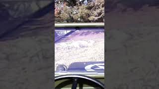 Small WiFi camera in my c8815 Willys Jeep [upl. by Odrarej]