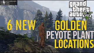 GTA 5 All Golden Peyotes Locations [upl. by Akinal]