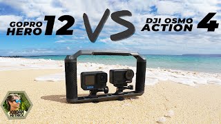 DJI Osmo Action 4 vs GoPro Hero 12 Diving Camera Comparison [upl. by Kooima]