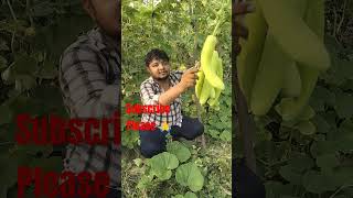 Machan per Loki ki khati loki like subscribe video [upl. by Eilata5]