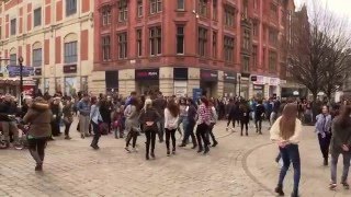 FlashMob in Manchester  Greek Zorbas  Zempekiko tis Evdokias [upl. by Ylloh275]