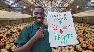 How Much Profit can a First time Farmer make from 500 Chickens [upl. by Ddot]