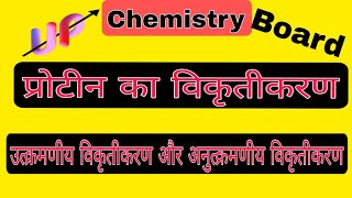 प्रोटीन का विकृतीकरण  protein ka vikkrati karan  protein kya hai protein ke prakar class 12 [upl. by Ause]