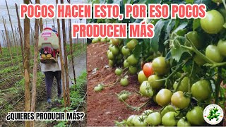 Todos deberían conocer esta técnica para tener un CULTIVO EXCELENTE Fácil [upl. by Oflodur]