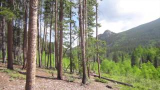 Raccoon Loop Hike at Golden Gate Canyon [upl. by Tavis]