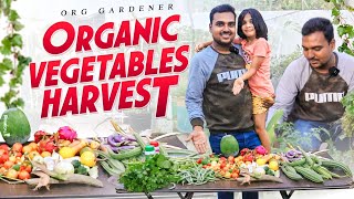 Happy Harvesting with Lucky harvest organic OrgGardener [upl. by Cowley]