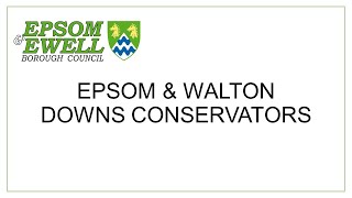 Epsom and Walton Downs Conservators  4 November 2024 [upl. by Seline]