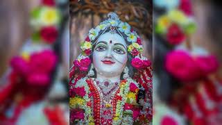 RADHE KRISHNA DARSHAN 28 10 2024 ISKCON MAYAPUR [upl. by Nador67]