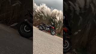 Bajaj Pulsar 220 Bike modified youtubeshorts shortvideo shorts [upl. by Ahsieyt]