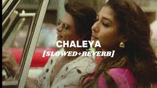 Chaleya SlowedReverb  Arijit SinghShilpa Rao  Jawan slowedandreverb lofimusic jawan [upl. by Eillo441]