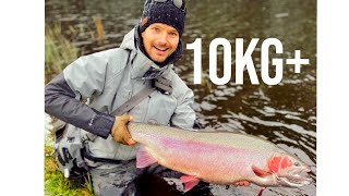 Regnbåge 10kg Flugfiske i Bergets sportfiske [upl. by Alded]