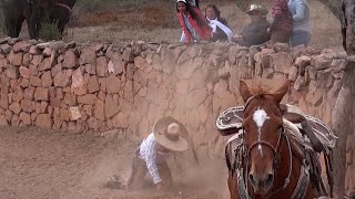 57  Lo Mejor de los Coleaderos  Jomulquillo Jerez Zacatecas [upl. by Wehttan]