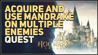 Acquire and use Mandrake on multiple enemies simultaneously Hogwarts Legacy [upl. by Dyun]