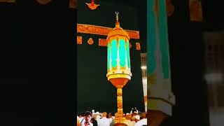 plz subscribe my channel🥰 mini vlogs🥰 short video☺ shammi vlogs😍 biutifullnaat mostbeautifulnaat [upl. by Ydnis267]