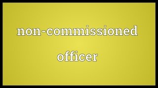 Noncommissioned officer Meaning [upl. by Debor851]