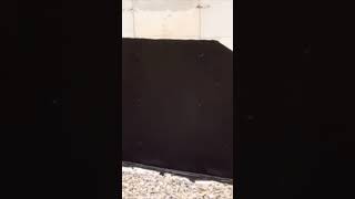 Foundation Waterproofing Explained in 60 Seconds [upl. by Firestone]